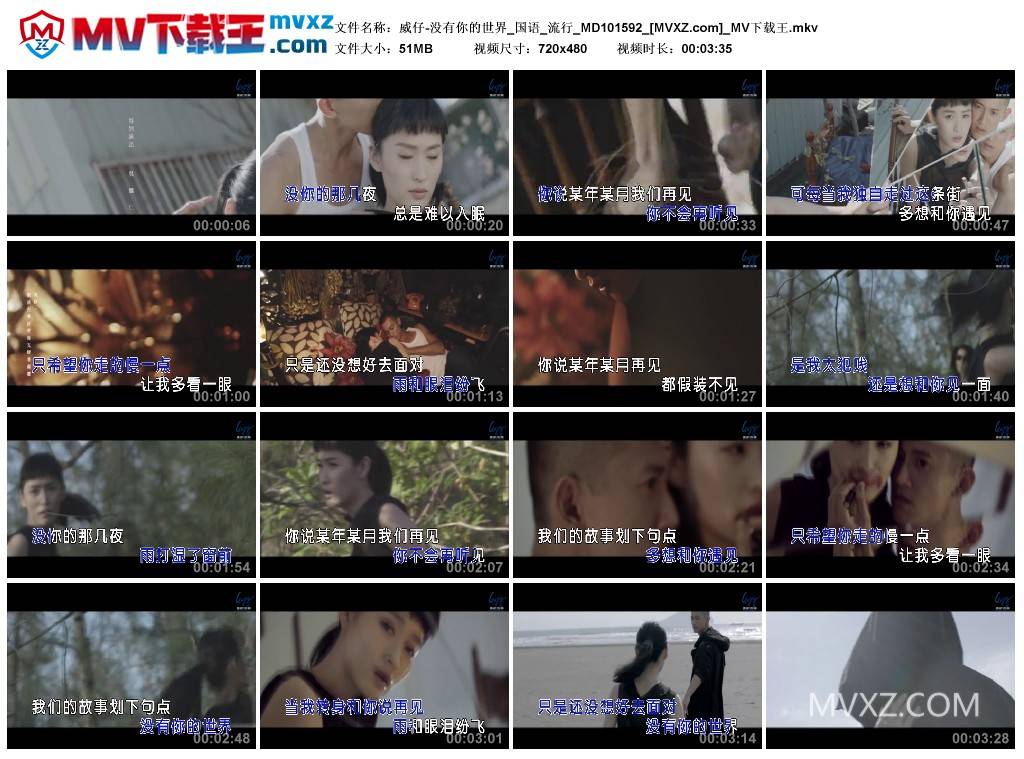 威仔-没有你的世界_国语_流行_MD101592